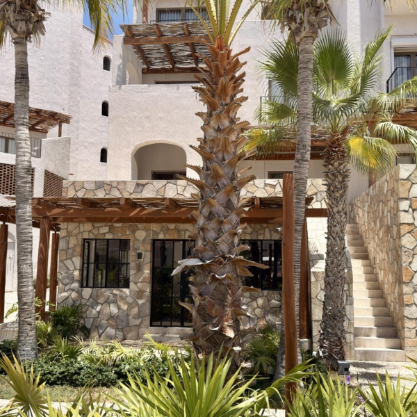 3400 P. Finisterra, San Jose del Cabo, BS | Los Cabos For Sale